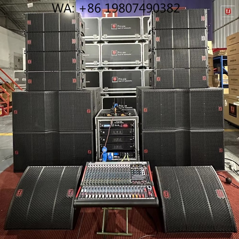 Audio Music Hall - Diffusore Line Array Doppio da 12
