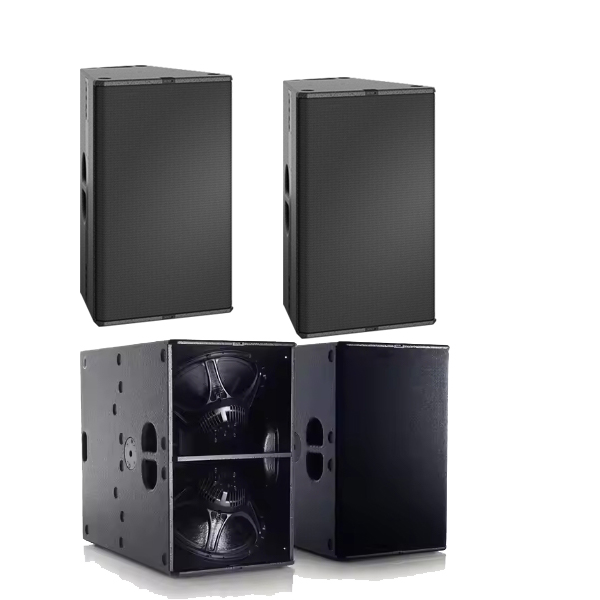 Audio Music Hall - Famoso altoparlante professionale a doppia matrice