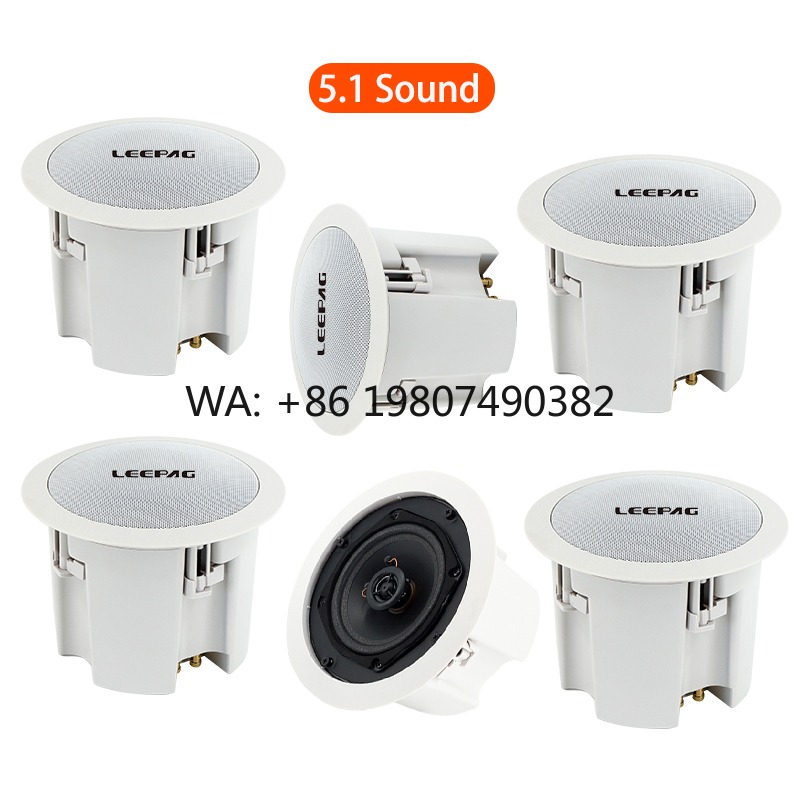 Audio Music Background Free - Altoparlante da Soffitto Impermeabile WiFi Bluetooth,