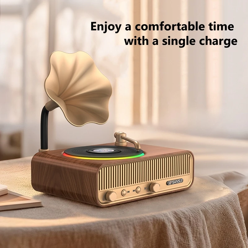 V13 Altoparlante Bluetooth sen - Apple Music Audio Quality recensione e prezzo