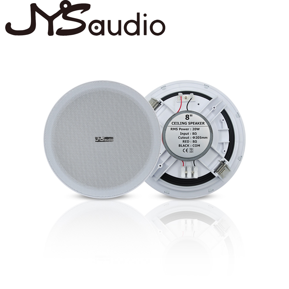 Altoparlante da soffitto da 20 - Audio Music Background Free recensione e prezzo