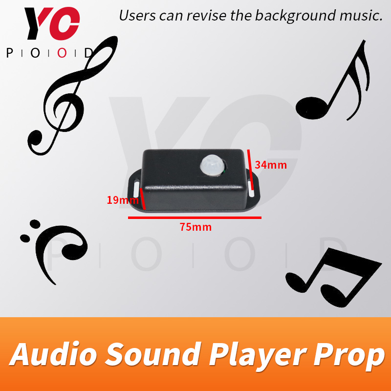 YOPOOD Lettore audio Sensore d - Audio Detect Music recensione e prezzo