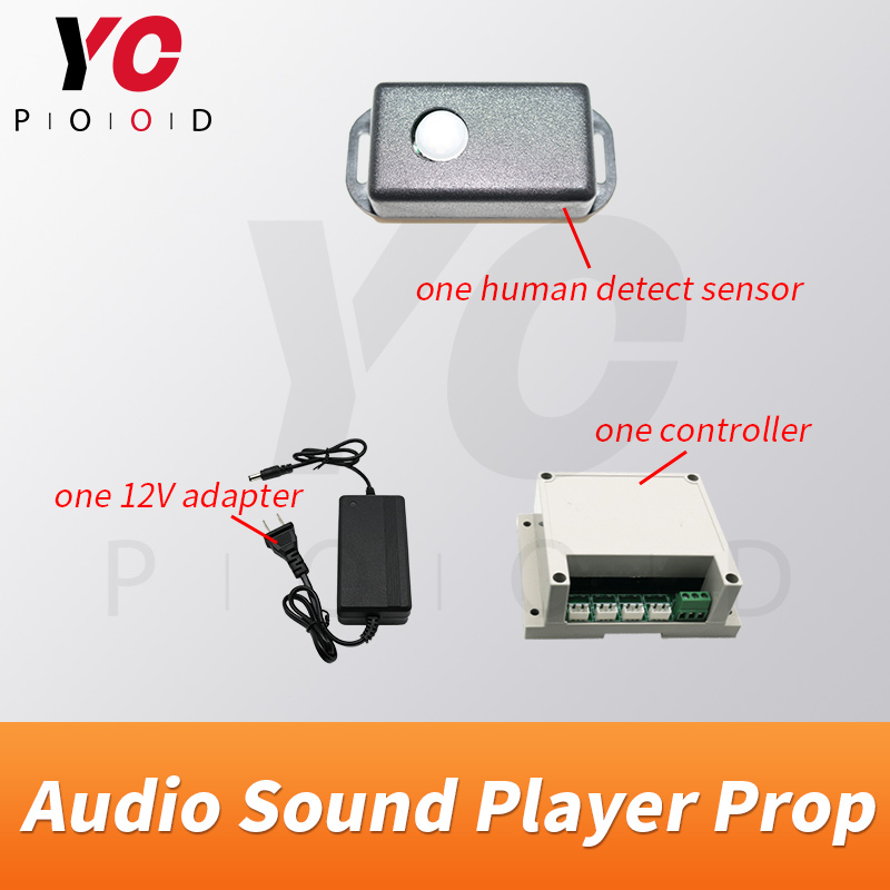 YOPOOD Lettore audio Sensore d - Audio Detect Music recensione e prezzo