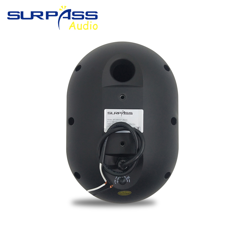 Altoparlante da parete da 30 W - Audio Music Background Free recensione e prezzo