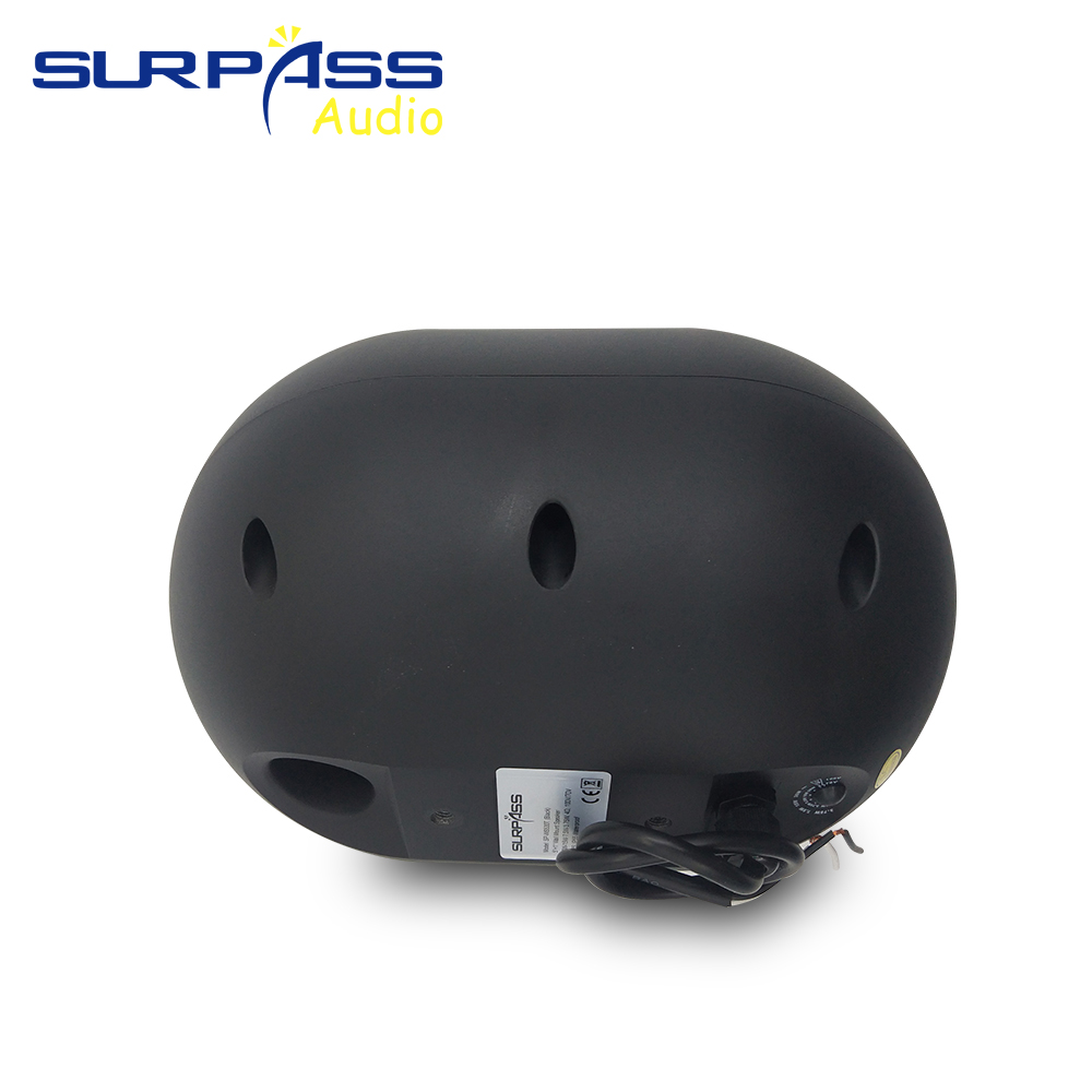 Altoparlante da parete da 30 W - Audio Music Background Free recensione e prezzo