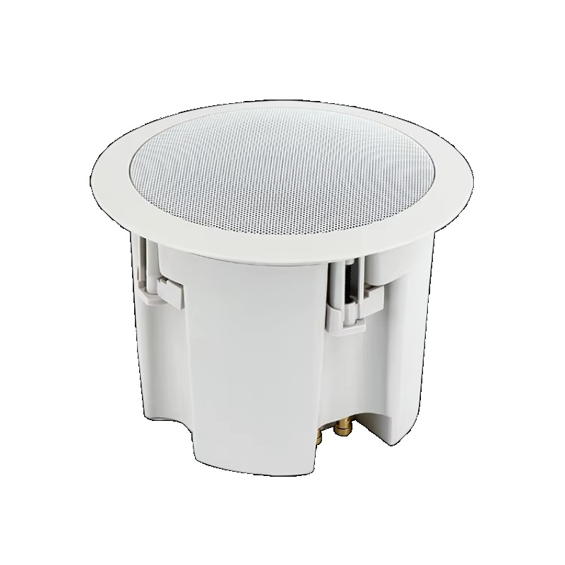 Altoparlante da Soffitto Imper - Audio Music Background Free recensione e prezzo